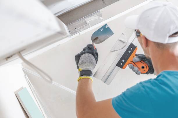 Best Real Estate Mold Inspection  in Moore Haven, FL